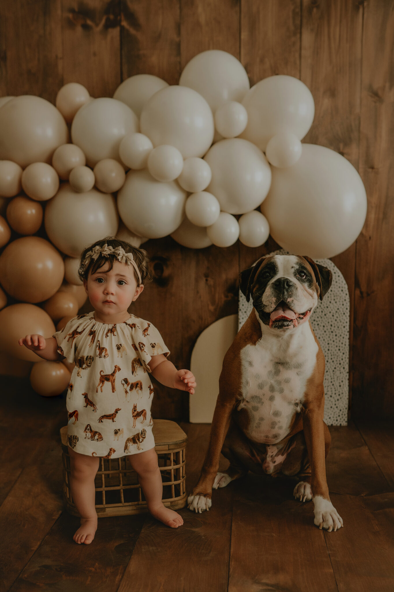 Girl with dog for first birthday photoshoot in Dover, PA Studio